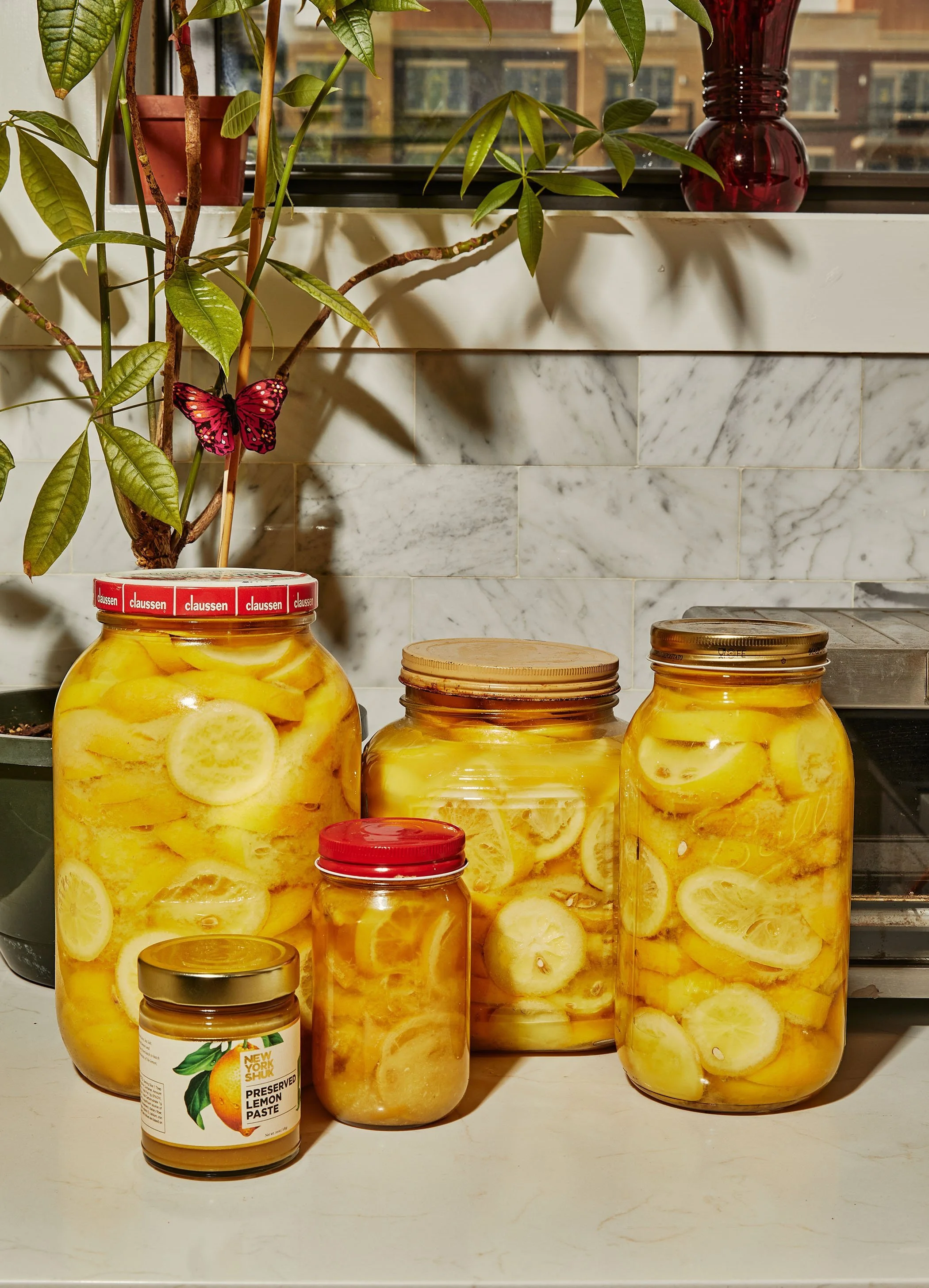 Preserved Lemon Paste is the ultimate superfood — Middle Eastern
